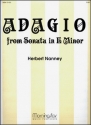 Herbert Nanney Adagio Organ