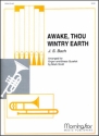 Johann Sebastian Bach_Mark Scott Awake, Thou Wintry Earth Organ, Piano, Brass Quartet