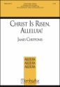 James Chepponis Christ Is Risen, Alleluia Congr, Cantor, opt SATB, opt Brass Ens, Timp, Cymbal, Flute, Handbells