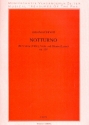 Notturno op.110 fr Flte (Violine), Viola und Gitarre (Laute) Partitur und Stimmen