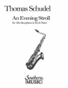 Thomas Schudel An Evening Stroll Alto Saxophone Buch