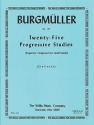 Twenty-Five Progressive Studies op.100 for piano