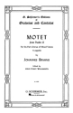 Johannes Brahms, Motet, Op. 29, No. 2 (from Psalm 51) SATBB Chorpartitur