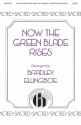 Brad Ellingboe, Now the Green Blade Rises SATB Chorpartitur