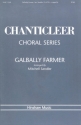 M. Sandler, Galbally Farmer SATB Chorpartitur