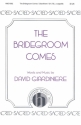 David Giardiniere, The Bridegroom Comes SATB Divisi a Cappella Chorpartitur