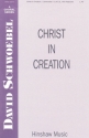 David Schwoebel, Christ In Creation SATB and Keyboard Chorpartitur