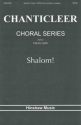 Elio Bucky, Shalom SATB Divisi a Cappella Chorpartitur