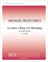 Michael Praetorius, Lo, How a Rose e'er Blooming SAB Stimme