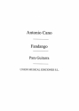 Fandango Gitarre Buch