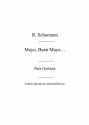 Robert Schumann, Mayo Buen Mayo Gitarre Buch