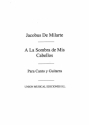 A La Sombra De Mis Cabellos Vocal and Guitar Buch