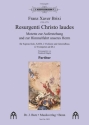 Brixi, Franz Xaver, Resurgenti Christo laudes fr S-Solo, SATB, 2 Violinen und Basso continuo (2 Trp [B] ad lib.) Partitur