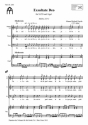 Haydn, Johann Michael, Exsultate Deo SATB und Orgel