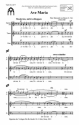 van Husen, P. Raimund, Ave Maria SATB a cappella