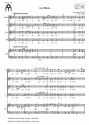 Vitsek, Jan August, Ave Maria SATB und Orgel