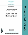 Montgomery, J./Smart, H., Angels From the Realms of Glory 3 Bb Clarinets, B.