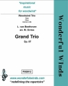 Beethoven, L. van, Grand Trio Op. 87 Fl, Ob, Bb Cl