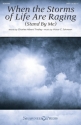 Victor C. Johnson, When the Storms of Life Are Raging SATB Choral Score