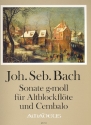 Sonate g-Moll BWV527 fr Altblockflte und Cembalo