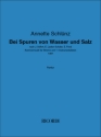 Bei Spuren von Wasser und Salz Voice and Chamber Orchestra Score