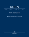 Sonate 'Landschaft' fr Klavier