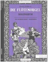 Imaginarium fr Blockfltenquartett Partitur und Stimmen