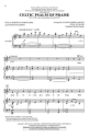 Celtic Psalm of Praise SATB and opt. Flute Chorpartitur