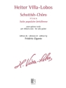 Schottish-Chro pour guitare seule