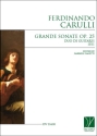 Grande Sonate Op. 25, for Two Guitars Guitar Duet Buch + Einzelstimme(n)