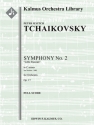 Symphony No. 2 in C minor (s/o score) for orchestra score