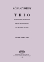 TRIO Streichtrio Buch