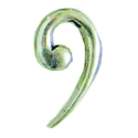 Pin Badge Pewter 'Bass Clef'