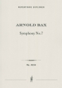 Symphony No. 7 Orchestra