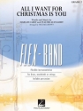 All I Want for Christmas Is You Flexible Band Set