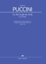 Tu che di gel sei cinta da 'Turandot' fr Sopran solo und Kammerorchester Partitur